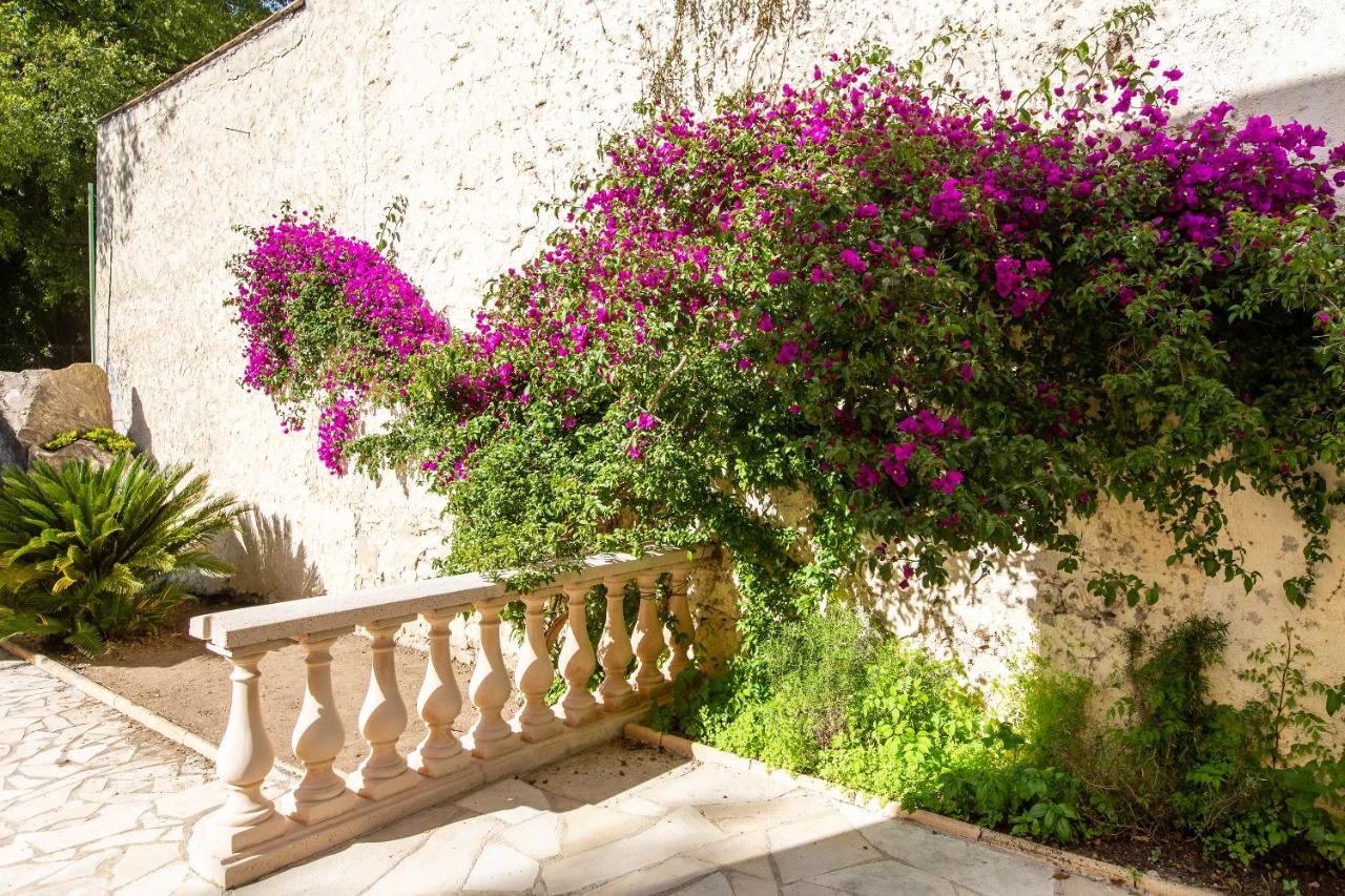 Cannes Villa Simone מראה חיצוני תמונה